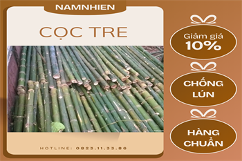 Cọc tre